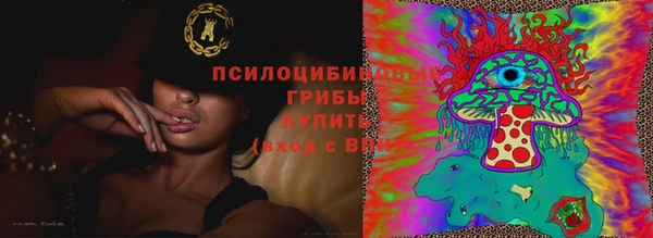 каннабис Невельск