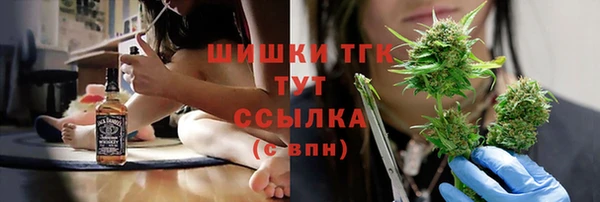 твердый Невель