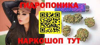 spice Абакан