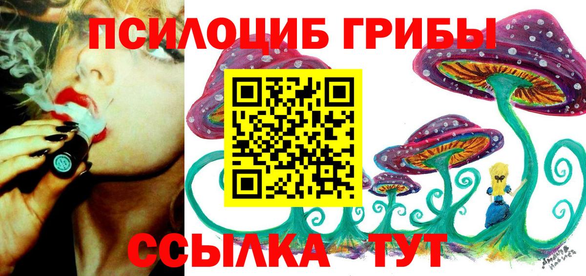 Семилуки  Псилоцибиновые грибы Psilocybe  где найти   Галлюциногенные грибы Psilocybine cubensis  Вход с VPN 