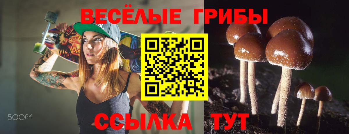 Псилоцибиновые грибы прущие грибы Семилуки